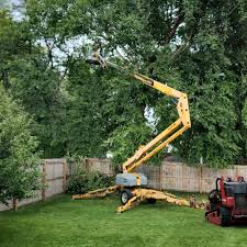 Best Leaf Removal  in Loyal, WI